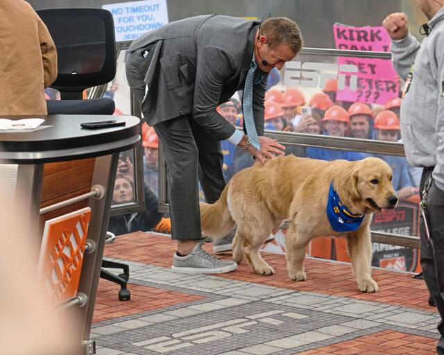 9046396_web1_gtr-PittGameDay9-111625