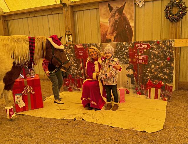 9047285_web1_gtr-HorseRescueFundraiser-111725--2-