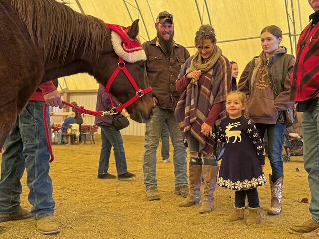 9047285_web1_gtr-HorseRescueFundraiser-111725--3-