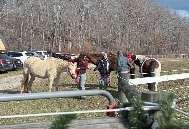 9047285_web1_gtr-HorseRescueFundraiser-111725--5-