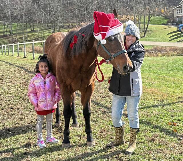 9047285_web1_gtr-horserescuefundraiser-111725-6