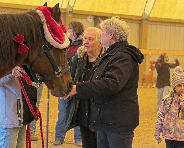 9047285_web1_gtr-HorseRescueFundraiser-111725