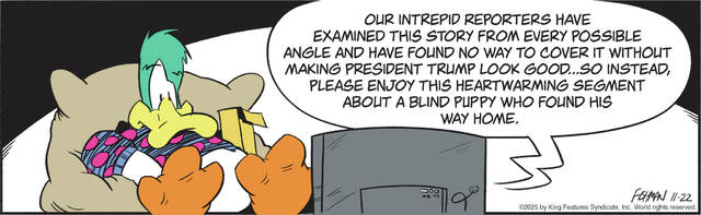 9051232_web1_gtr-malfil-112225