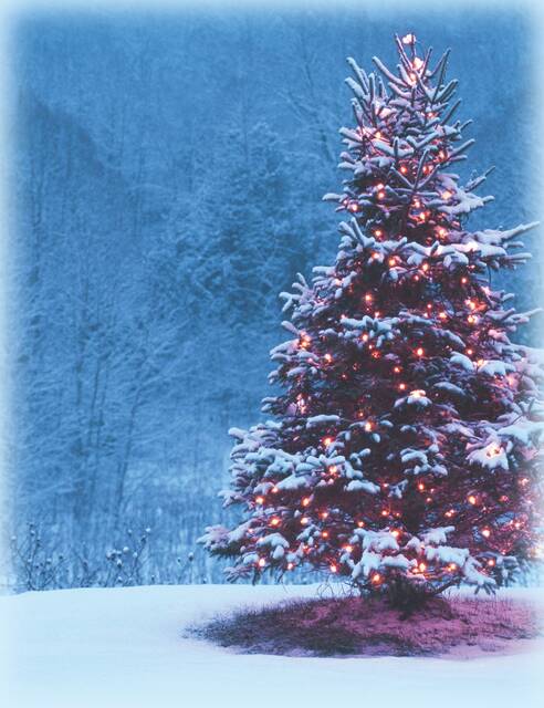 9053345_web1_web-christmastree