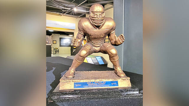 Finalists announced for Bill Fralic football lineman award