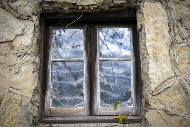 9056337_web1_her-sauer18-112025