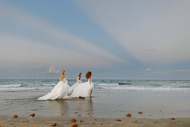 9056915_web1_ptr-hayleypaige-chard