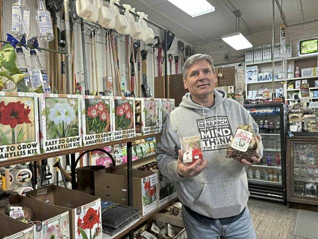 9061607_web1_sew-Robinsons-2