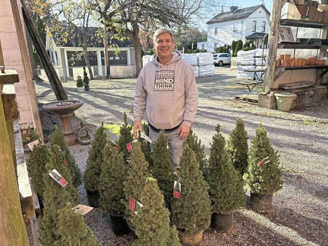 9061607_web1_sew-Robinsons-3