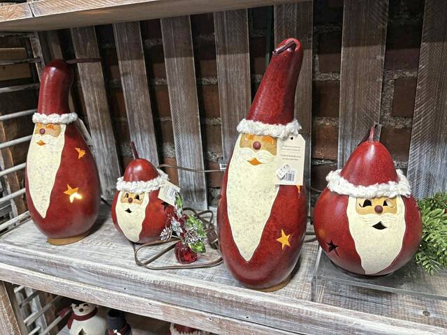 9061607_web1_sew-Robinsons-6