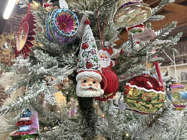 9061607_web1_sew-Robinsons-8