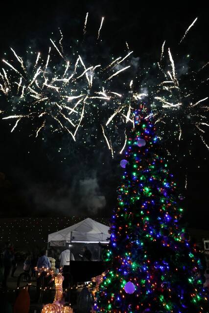 9063716_web1_pcj-HolidayFireworks-121125