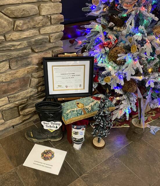 9063716_web1_pcj-HolidayTreeBirdtown-121125