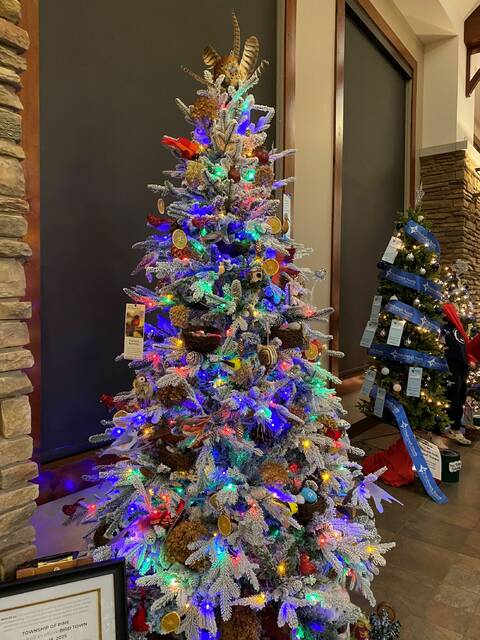 9063716_web1_pcj-HolidayTrees-121125