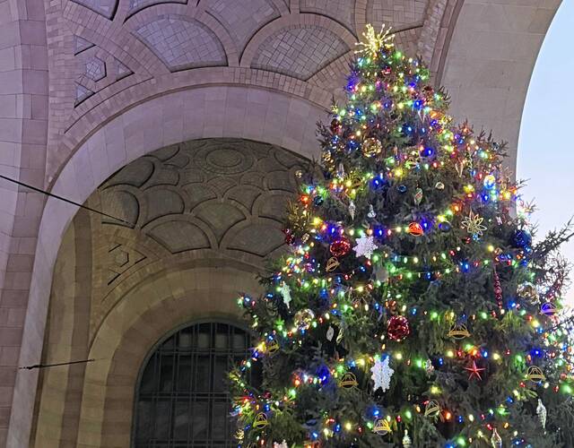 9063765_web1_ptr-LightUpTreeB-112325