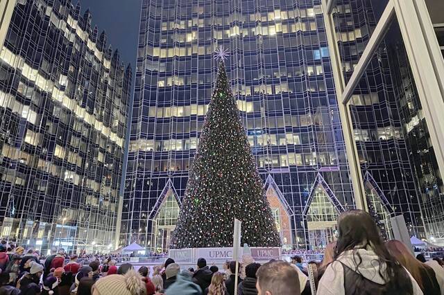 9063765_web1_ptr-PPGTreePreLight-112325