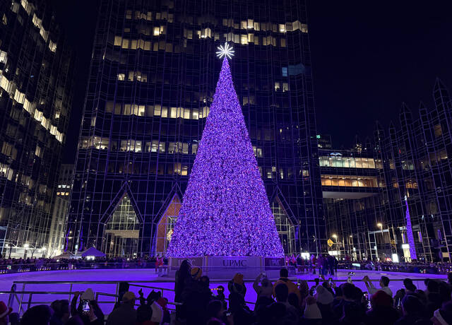 9063765_web1_ptr-PPGXmasTreeLitUp-112325