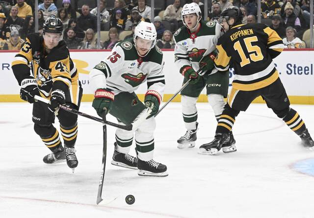 9067583_web1_ptr-PensWild09-112225