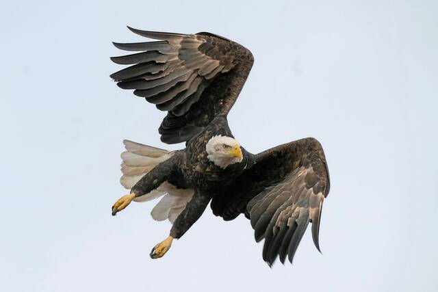 9067632_web1_AP24025006059094