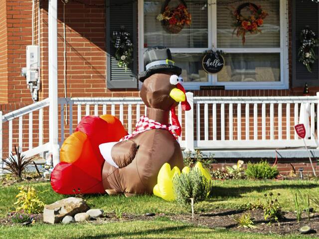 9076568_web1_sig-turkeyphoto-112422