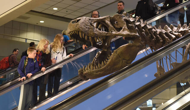 9077519_web1_-ptr-AirportDino-3