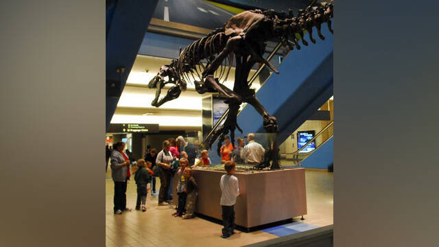 9077519_web1_ptr-AirportDino-WEB