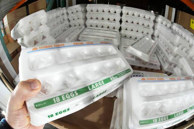 9078572_web1_9078572-3eaa23ae3cf842649580f30b7e0a88c6