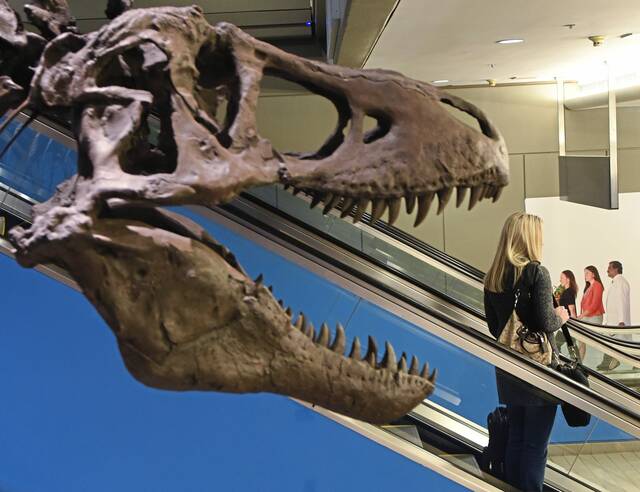 9079106_web1_ptr-AirportDino-4