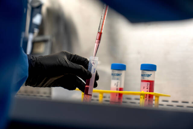 9082378_web1_9045689-b53538f46ad74f9bab19f8249aa57494