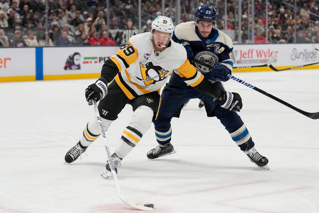 9083857_web1_9083857-907d43b50d49458da93177a55e3bfa0d