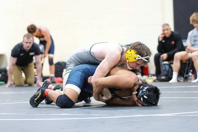 9083867_web1_gtr-Brandebura-120125