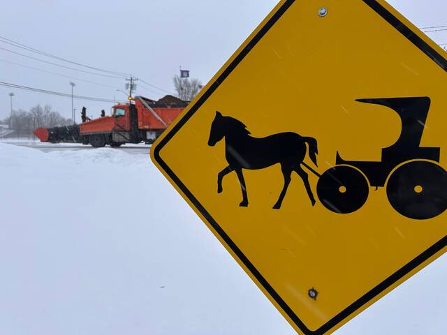 9087788_web1_9087788-4017b917724245cb81452942290f1b42