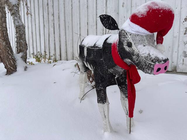 9087788_web1_9087788-864cc4239acc4e2d9111c8d92b1b4861