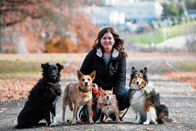 8994920_web1_ptr-petvax001-112325