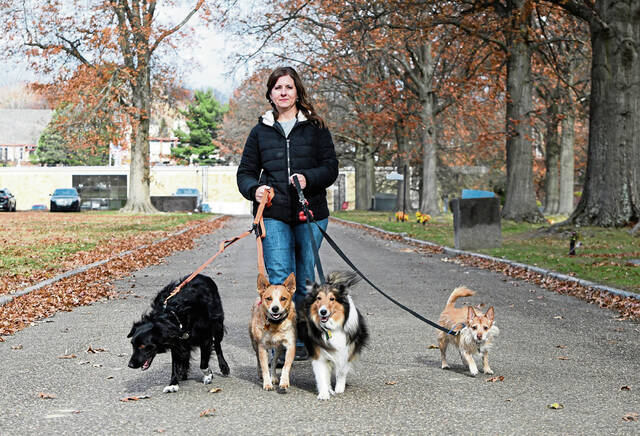 8994920_web1_ptr-petvax002-112325