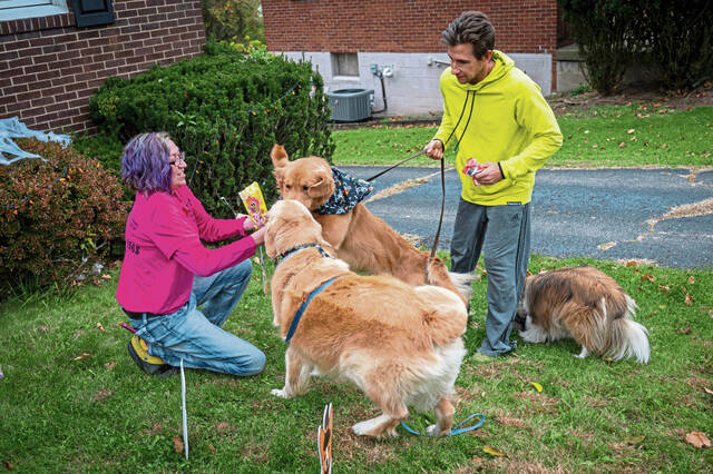 8994920_web1_ptr-petvax2-110925