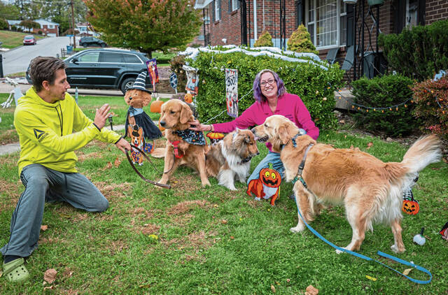 8994920_web1_ptr-petvax3-110925