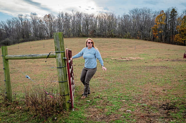 9017445_web1_gtr-SolarFarms13-111625