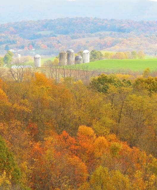 9034417_web1_te-BriefExhibitFallTowers-121125