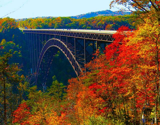 9034417_web1_te-BriefExhibitGourgeBridge2-121125