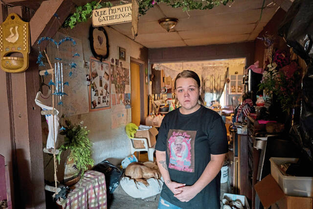 9042533_web1_gtr-renesmay-112225