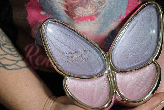 9042533_web1_gtr-renesmay111-112225