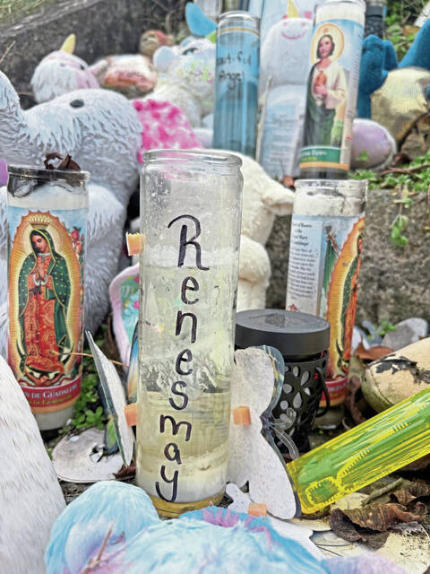 9042533_web1_gtr-renesmay2