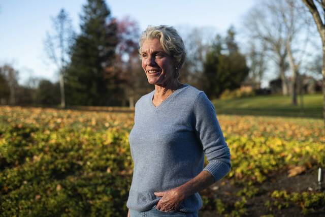 9056023_web1_sew-EliseKeely-3-112725