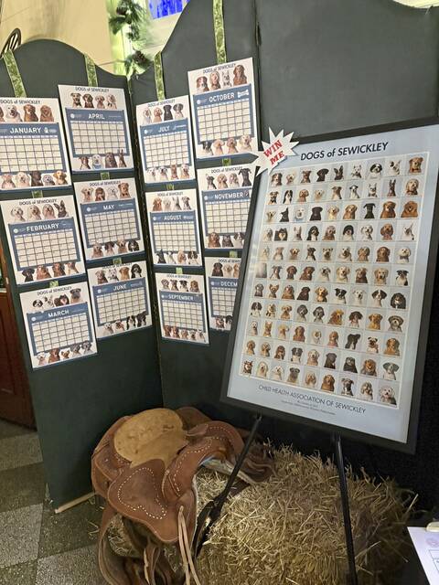 9076763_web1_sew-ChildHealthBall-7