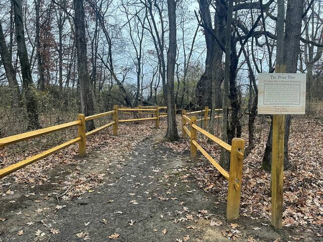 9081709_web1_pcj-ScoutAfterPath-121125