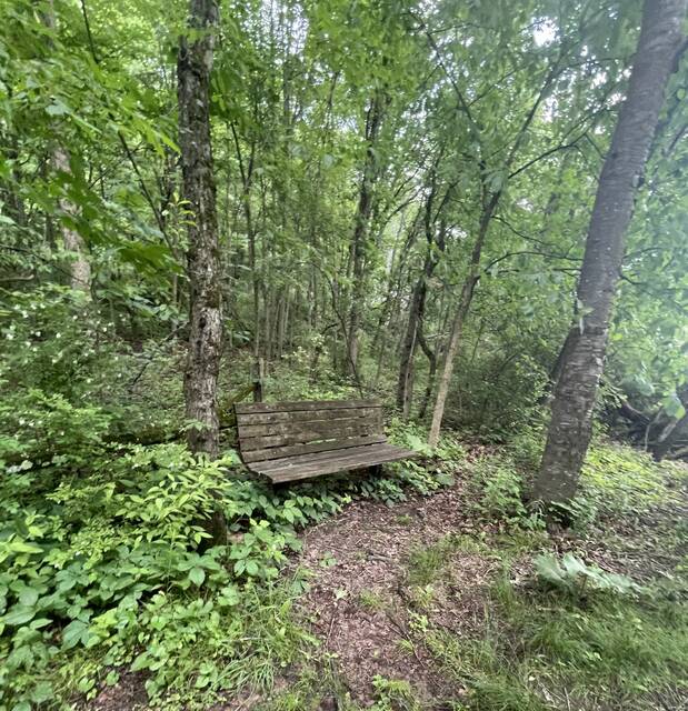 9081709_web1_pcj-ScoutBeforeBench-121125