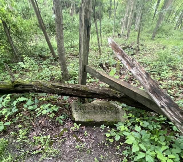 9081709_web1_pcj-ScoutBeforeStoneMarker-121125