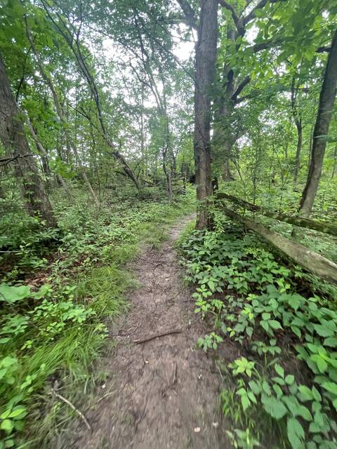 9081709_web1_pcj-ScoutPathBefore-121125