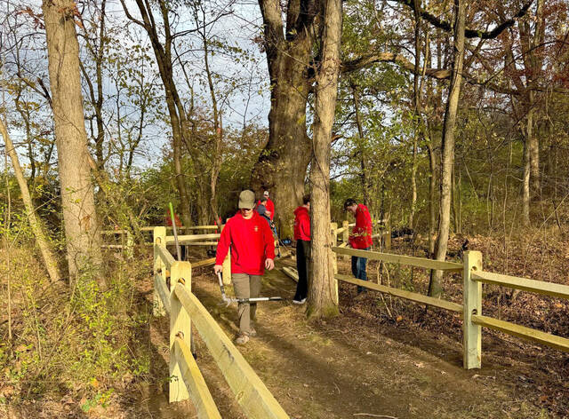 Oldest tree in Allegheny County stands a little mightier after Eagle Scout project